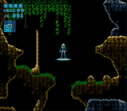 Metroid Rogue Down