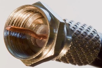 F Plug